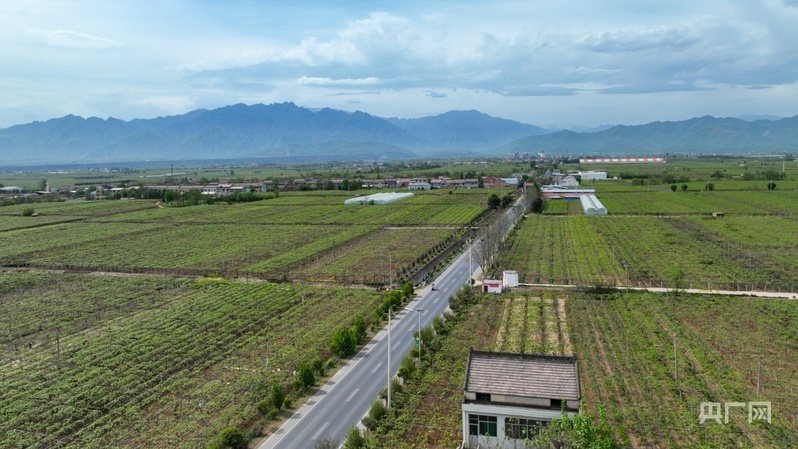鄉(xiāng)路上，感受脈動(dòng)中國——美麗鄉(xiāng)路服務(wù)提質(zhì)，地標(biāo)鮮果助力振興