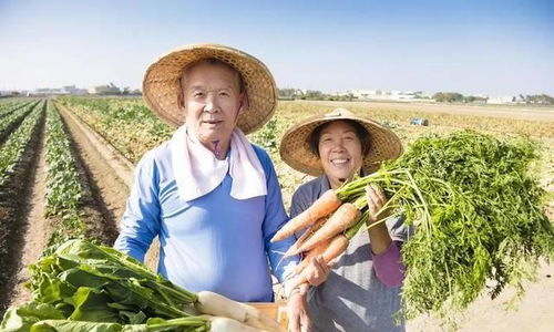 退休金4200的我，在農(nóng)村嫂子家看到的另一種富足