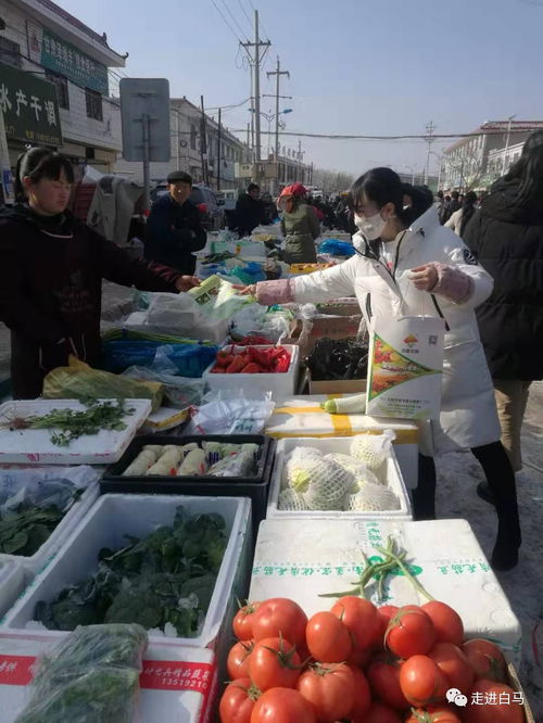 白馬鋪鎮(zhèn)多措并舉，全力保障春節(jié)期間農(nóng)產(chǎn)品質(zhì)量安全